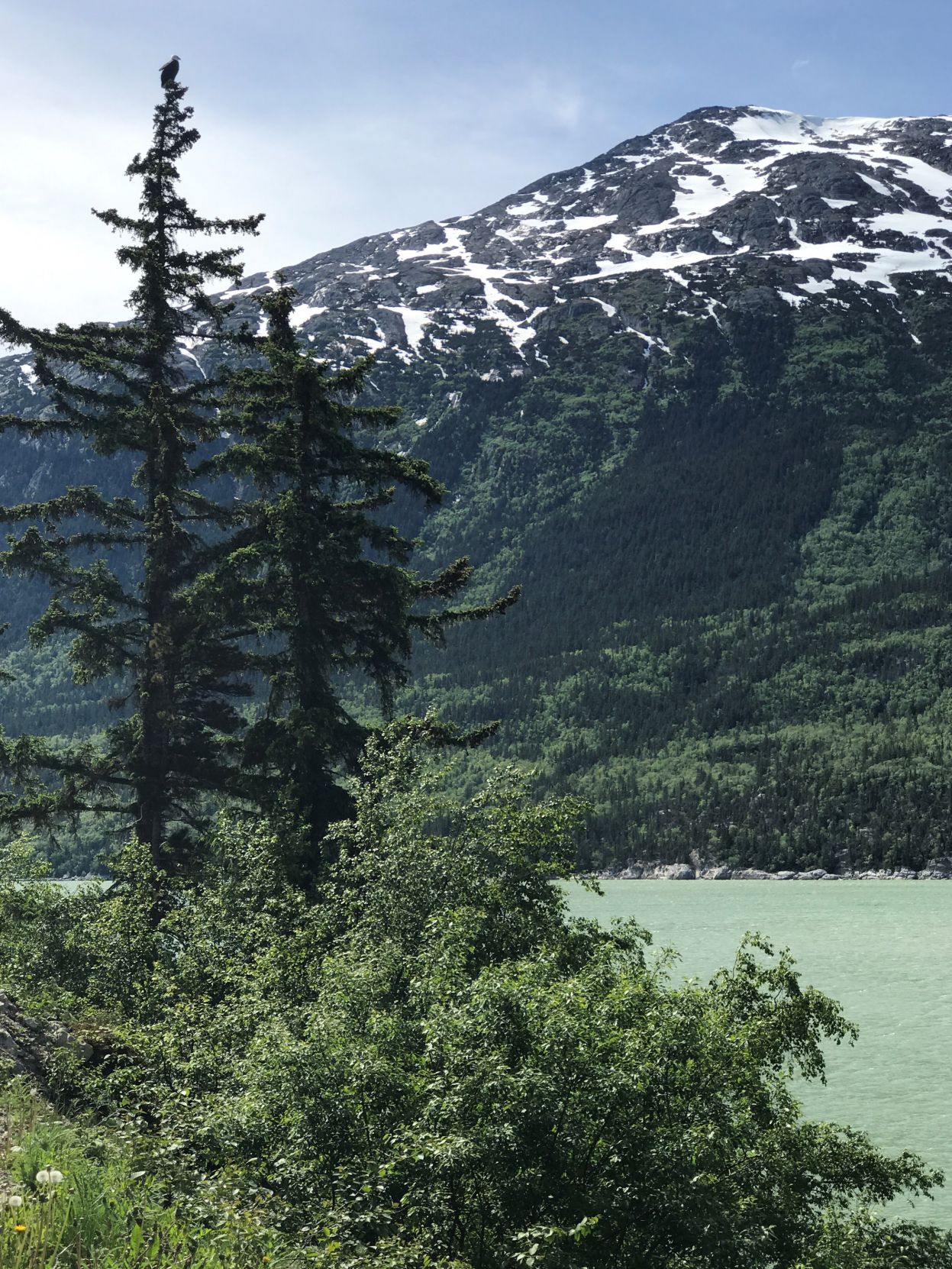 Eagle's view in Skagway, Alaska